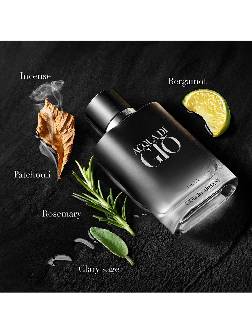 Giorgio Armani Acqua di Giò Profumo Eau de Parfum for Men - 125ml