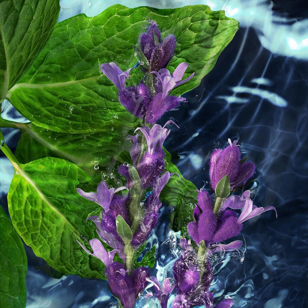 Davidoff Cool Water Deodorant 150ml for Men