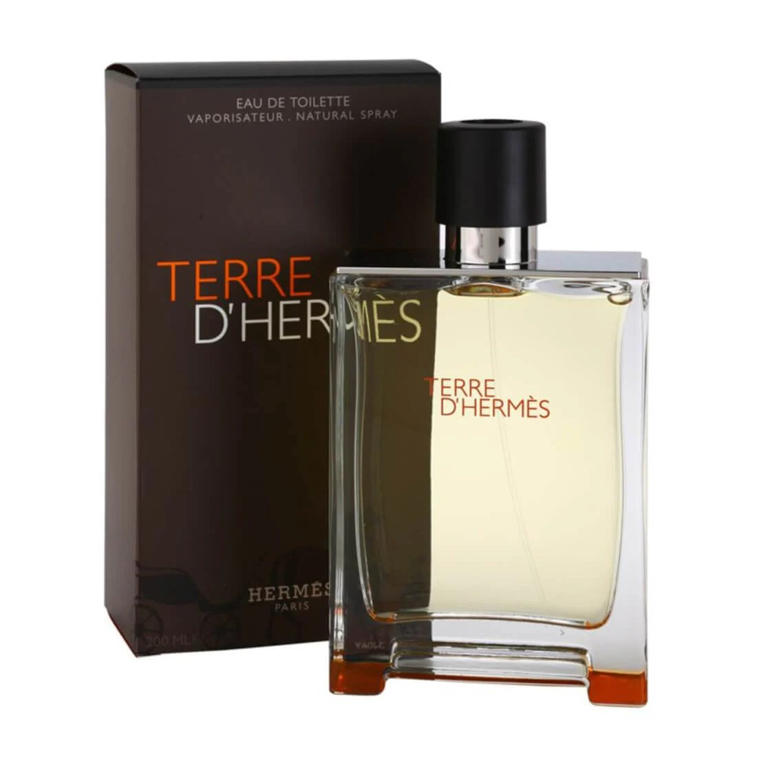 Hermès Terre d’Hermès Eau De Toilette 100ml for Men