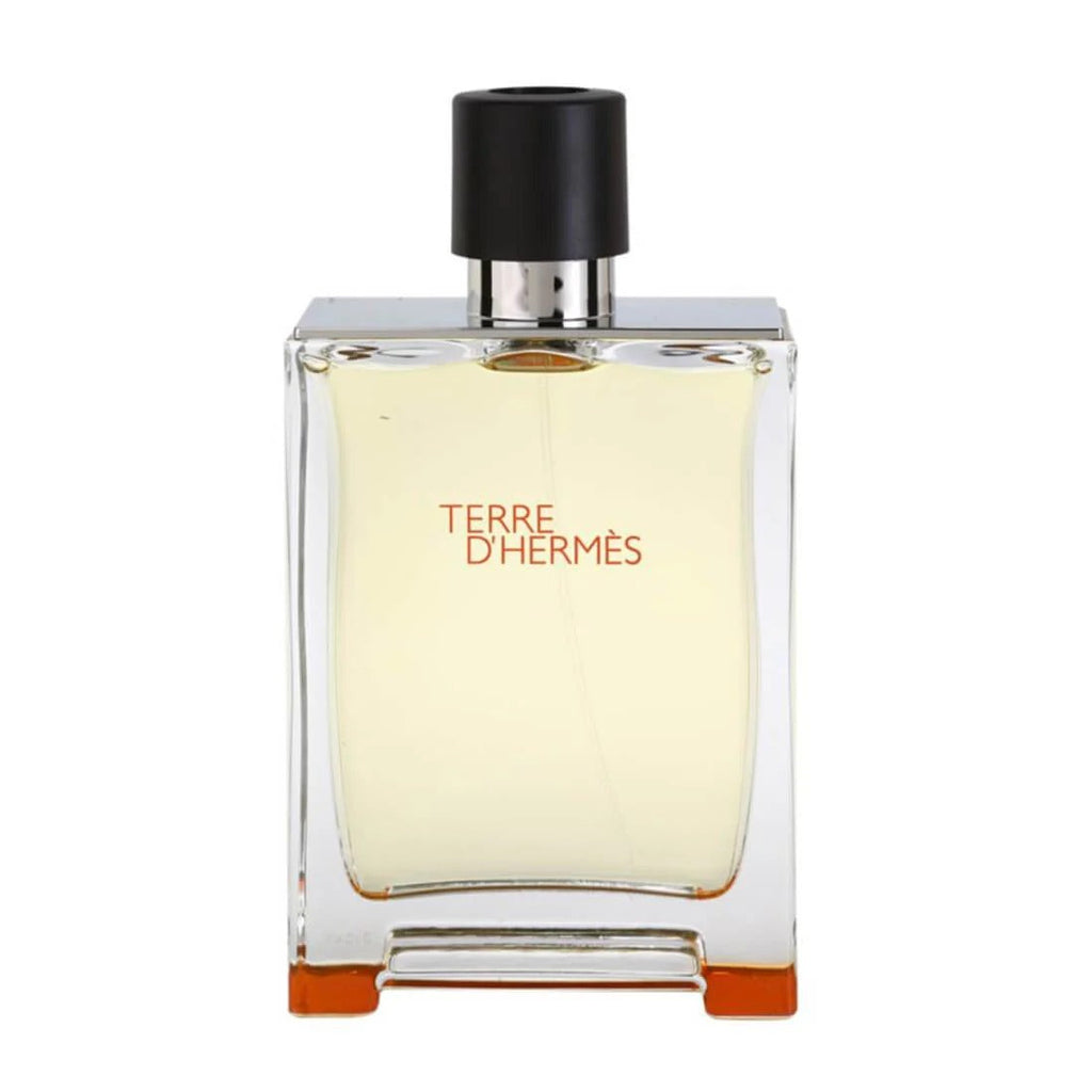 Hermès Terre d’Hermès Eau De Toilette 100ml for Men