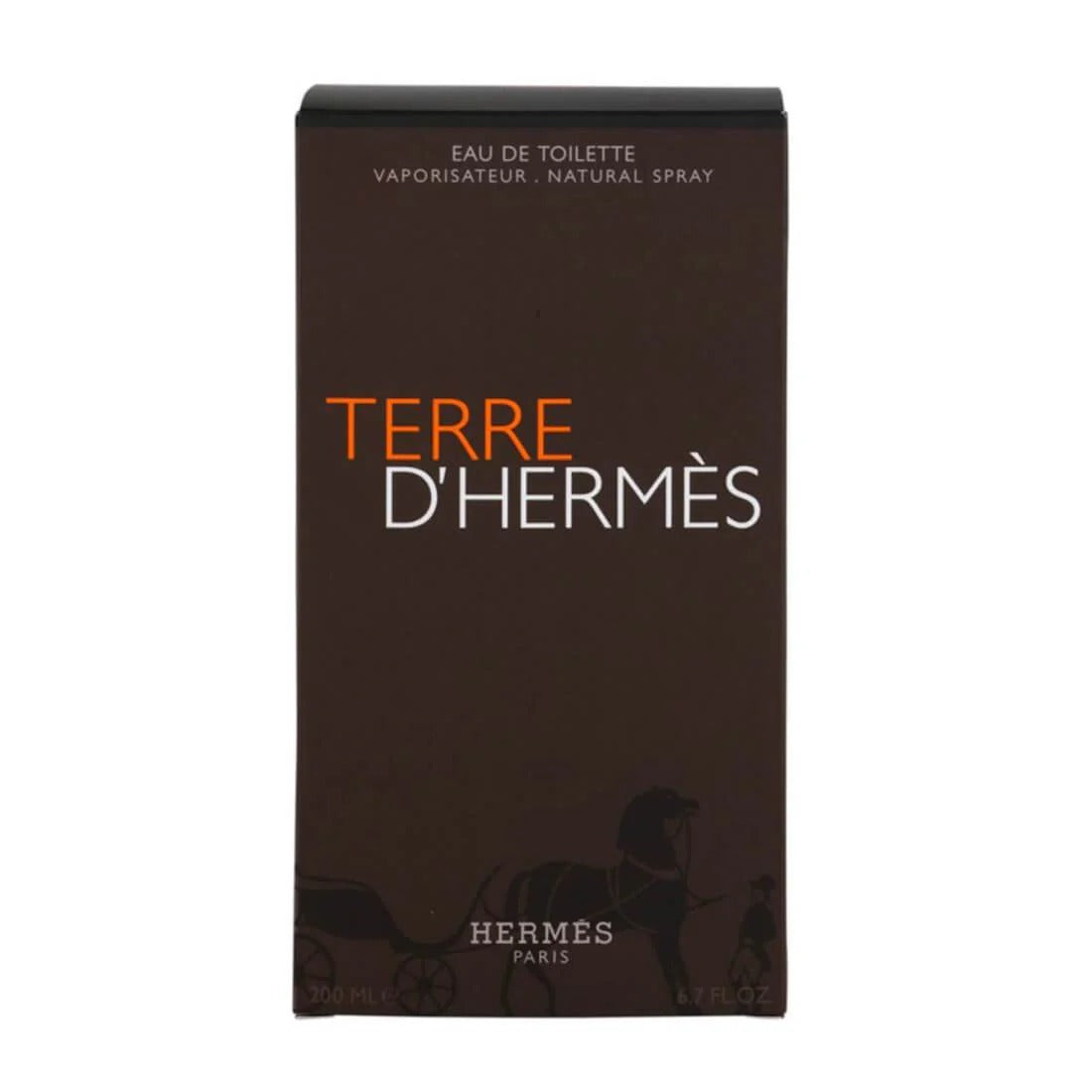 Hermès Terre d’Hermès Eau De Toilette 100ml for Men